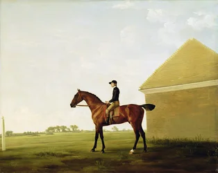 Turf, c.1765